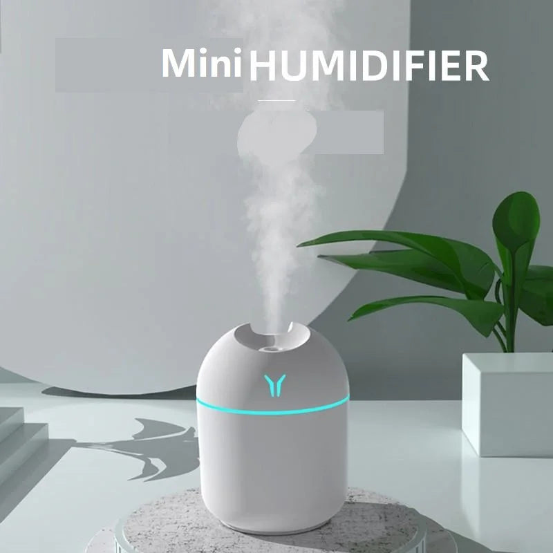 Mini Ultrasonic Humidifier & Aroma Diffuser | 250ml